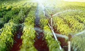 agricultural